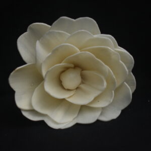 Jeffry Flower