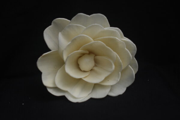 Jeffry Flower