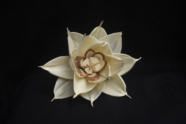 Stafine Flower