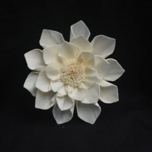 Suriya Flower