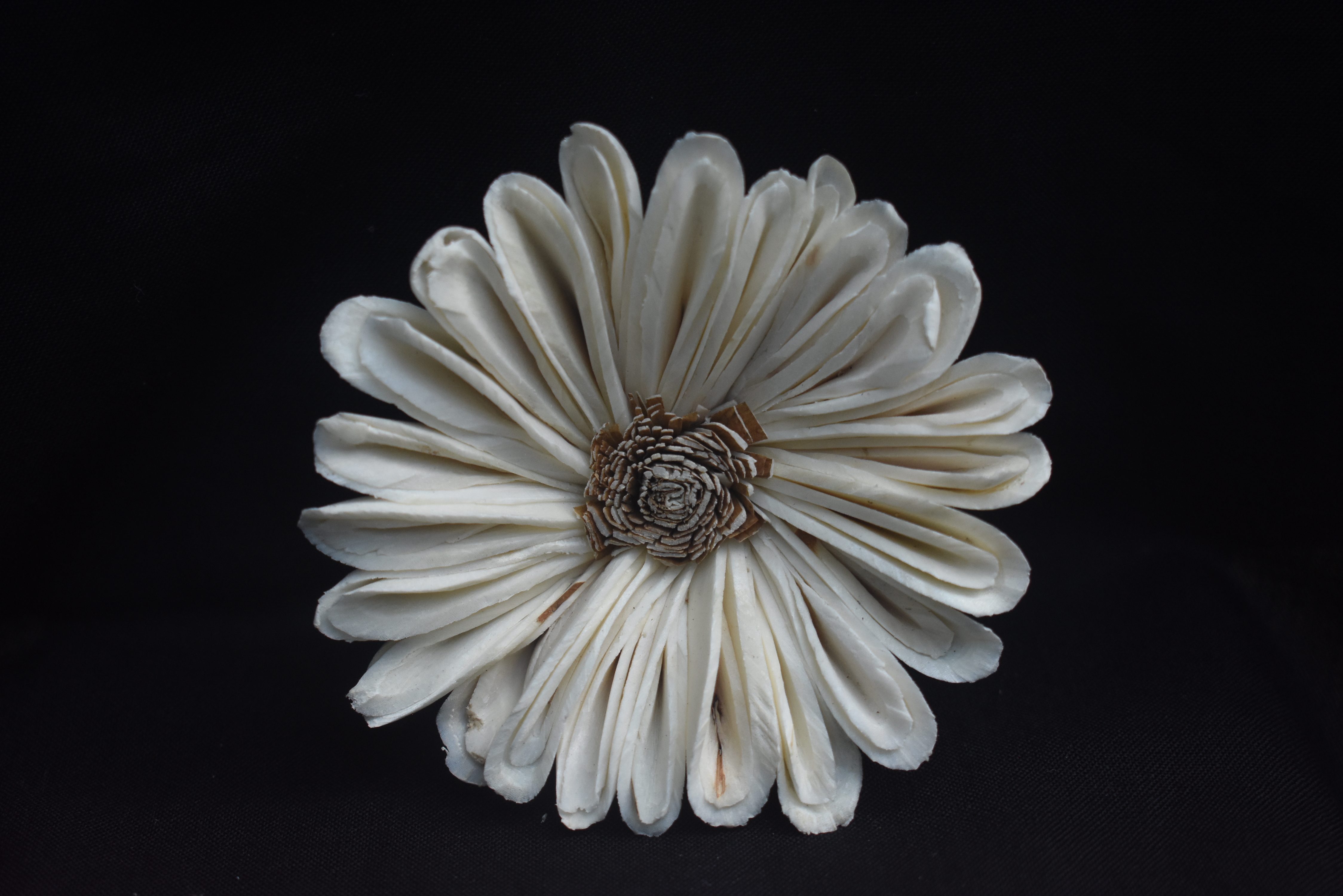 Sola Suzi Flower