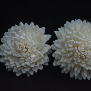 Sola Zinia Flower