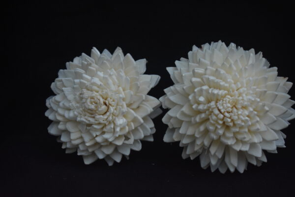 Sola Zinia Flower