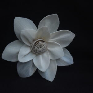 Sola Mayur Flower