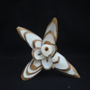 Sola Butterfly