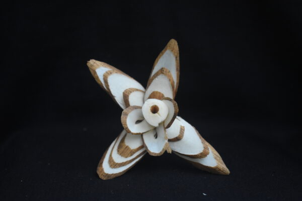 Sola Butterfly