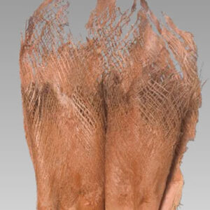 Palm Fibre