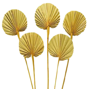 Palm Round