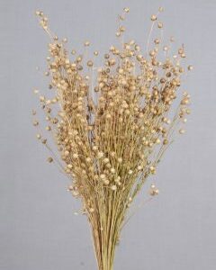T-Grass Natural