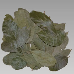 Amrita Leaves
