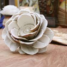 Bark Lotus