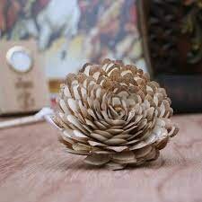 Chips Dahlia