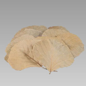 Cobra Leaves
