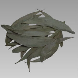 Curly Leaves