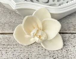 Orchid
