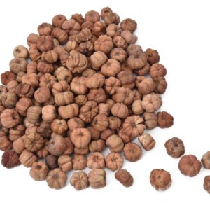Putka Pod