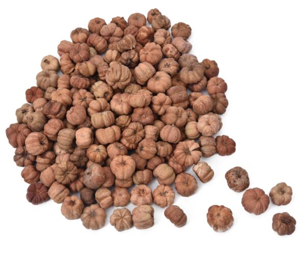 Putka Pod