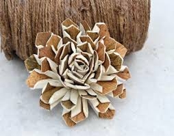 Bark Dahlia