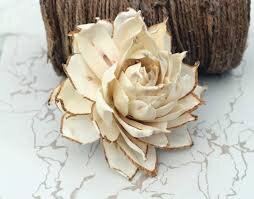 Thistle