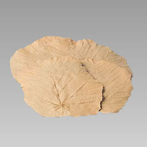 Tiger Leaves