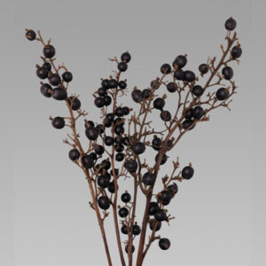 Black Berry